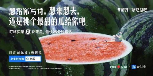 娱乐吃瓜文案哪里来的