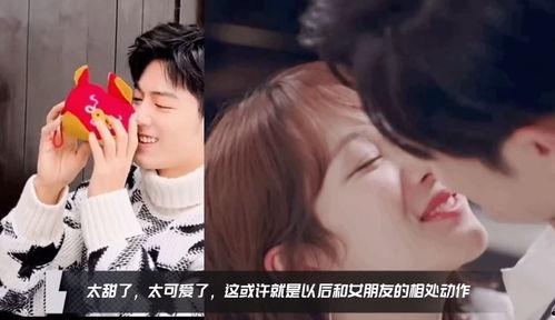 杨紫肖战娱乐爆料视频,揭秘明星幕后故事